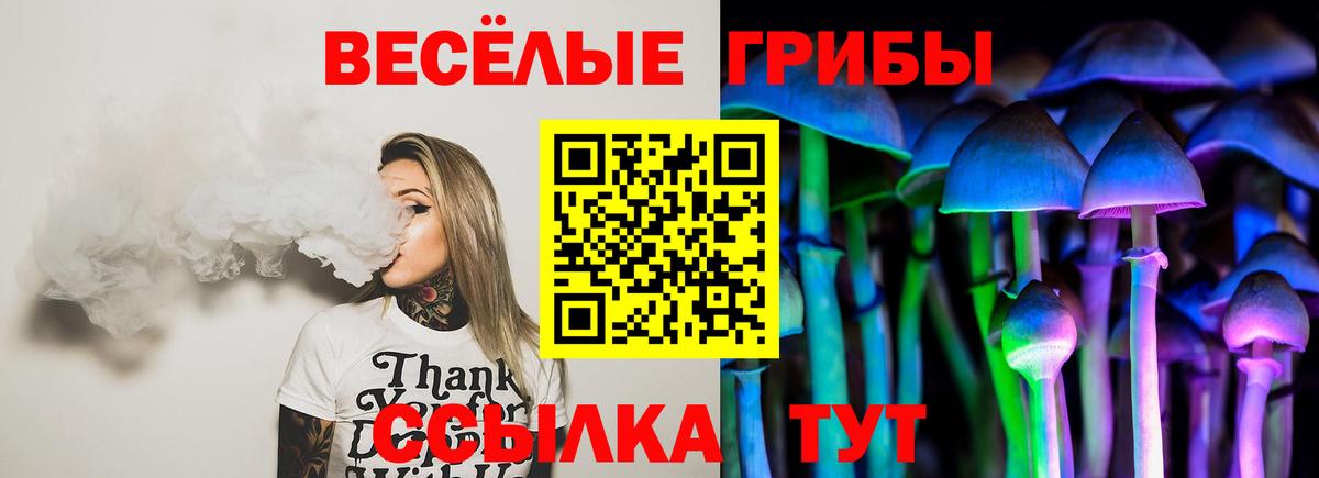 Галлюциногенные грибы прущие грибы Саяногорск